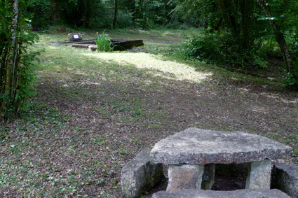 Picnic galantie sd