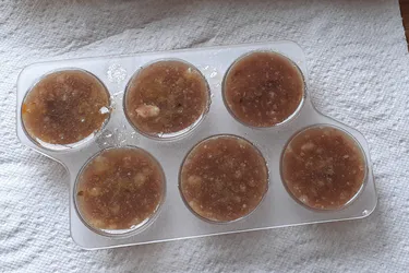 Astuces gourmandes pour chien et chat - Réalisation à base de jus de viande (niveau très facile)