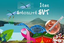 Specialite-SVT-1-