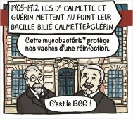 Calmette-guerin