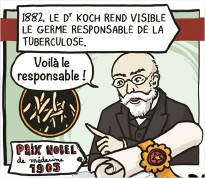 Koch