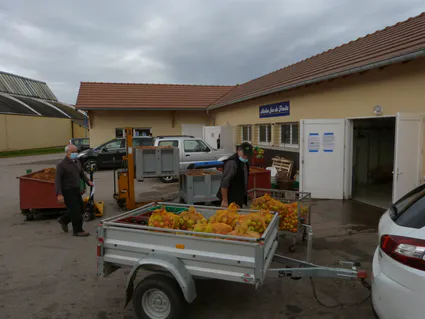 L atelier de jus de pommes a tourne a plein regime vu l abondance de pommes cette annee 1603543313