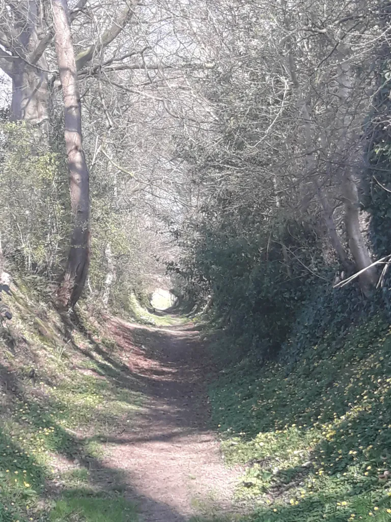 Chemin doux 4