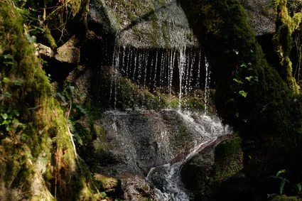 Cascade sd