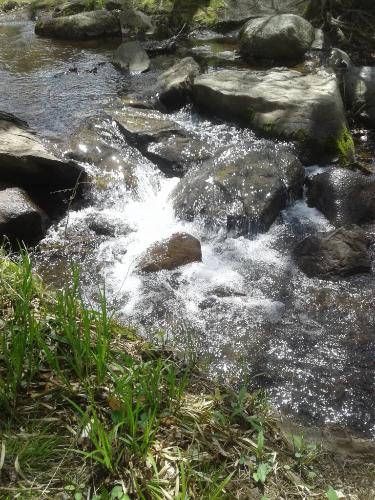 Parcs bromont 9