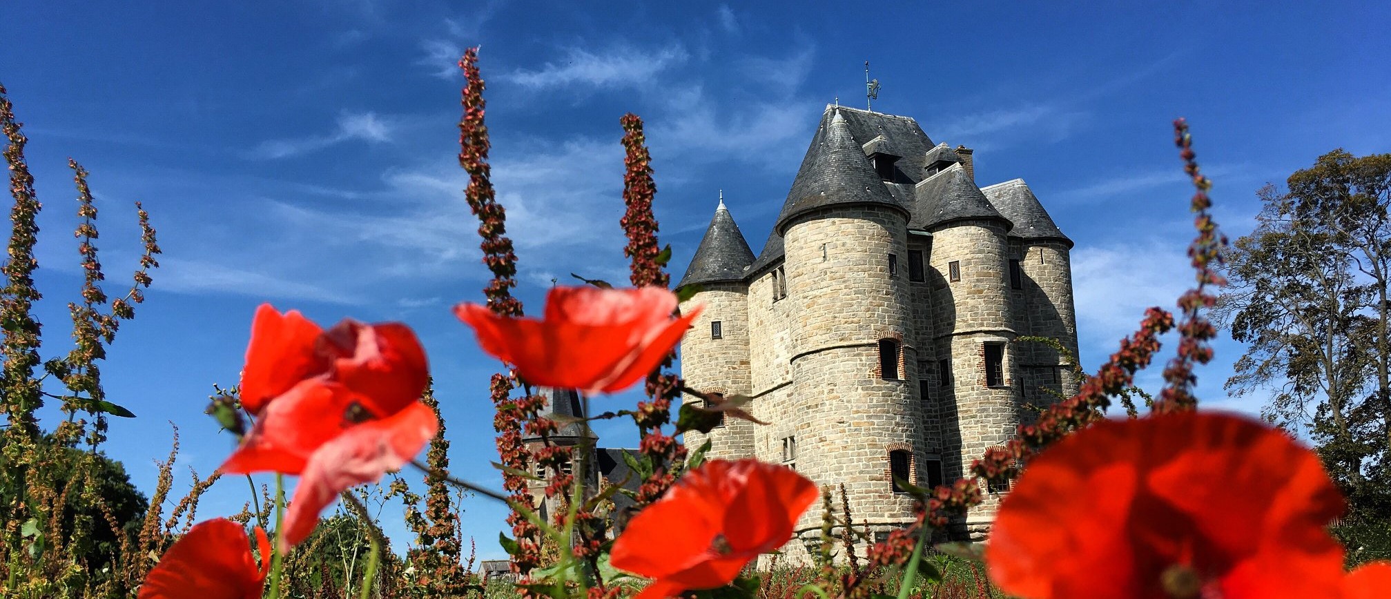 Donjon-fleurs2020