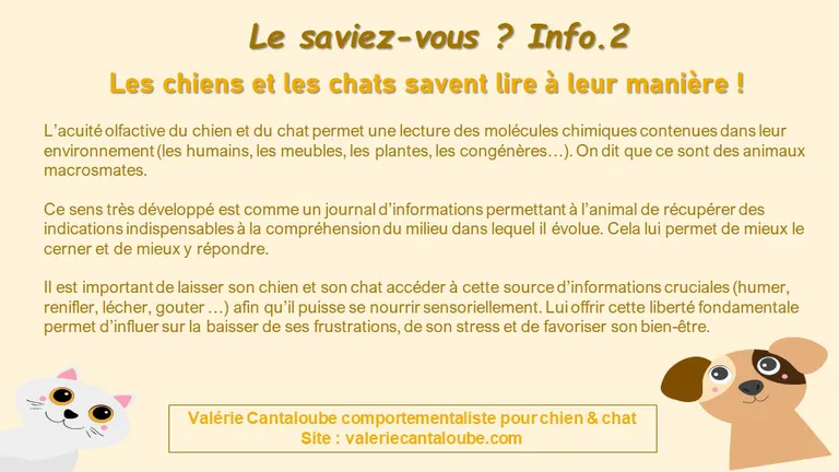 Le saviez-vous ? Info n.2 : Les chats & chiens savent lire à leur manière !