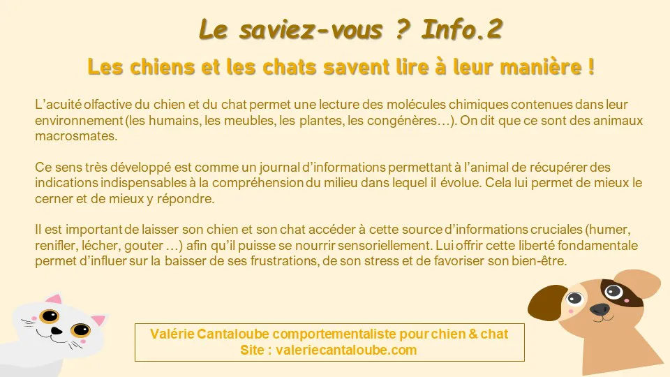 Le saviez-vous ? Info n.2 : Les chats & chiens savent lire à leur manière !