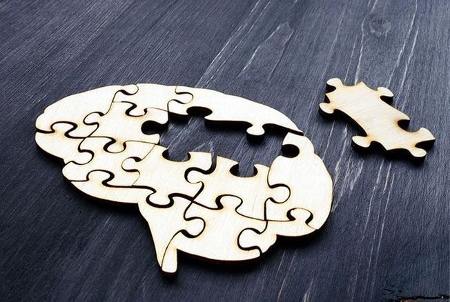 Cerveau-puzzle
