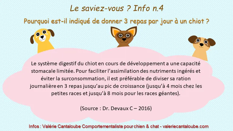 Le saviez-vous ? Info n.4 - Pourquoi faut-il donner 3 repas à son chiot ?