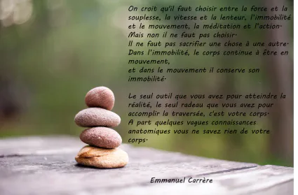 Mouvement ou immobilité ?