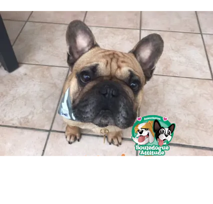 Oliver