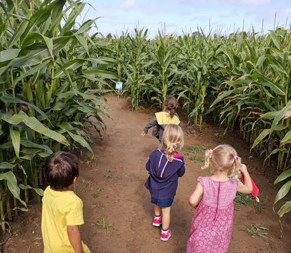 Allee du labyrinthe3