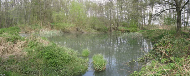 360 20080425caricaieaulnaienoire pano3