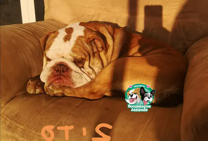 Otis