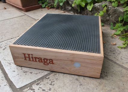 Hiraga 1 