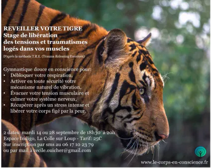Stage de libération  des tensions et traumatismes  logés dans vos muscles