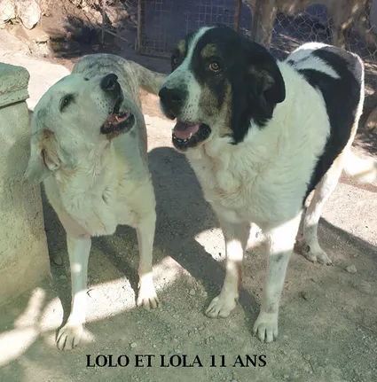 Lolo et lola