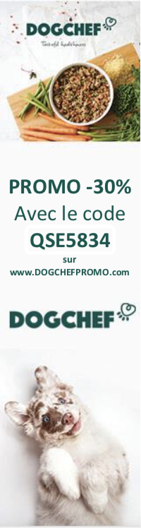 Banniere-pub-code-dogchef-1