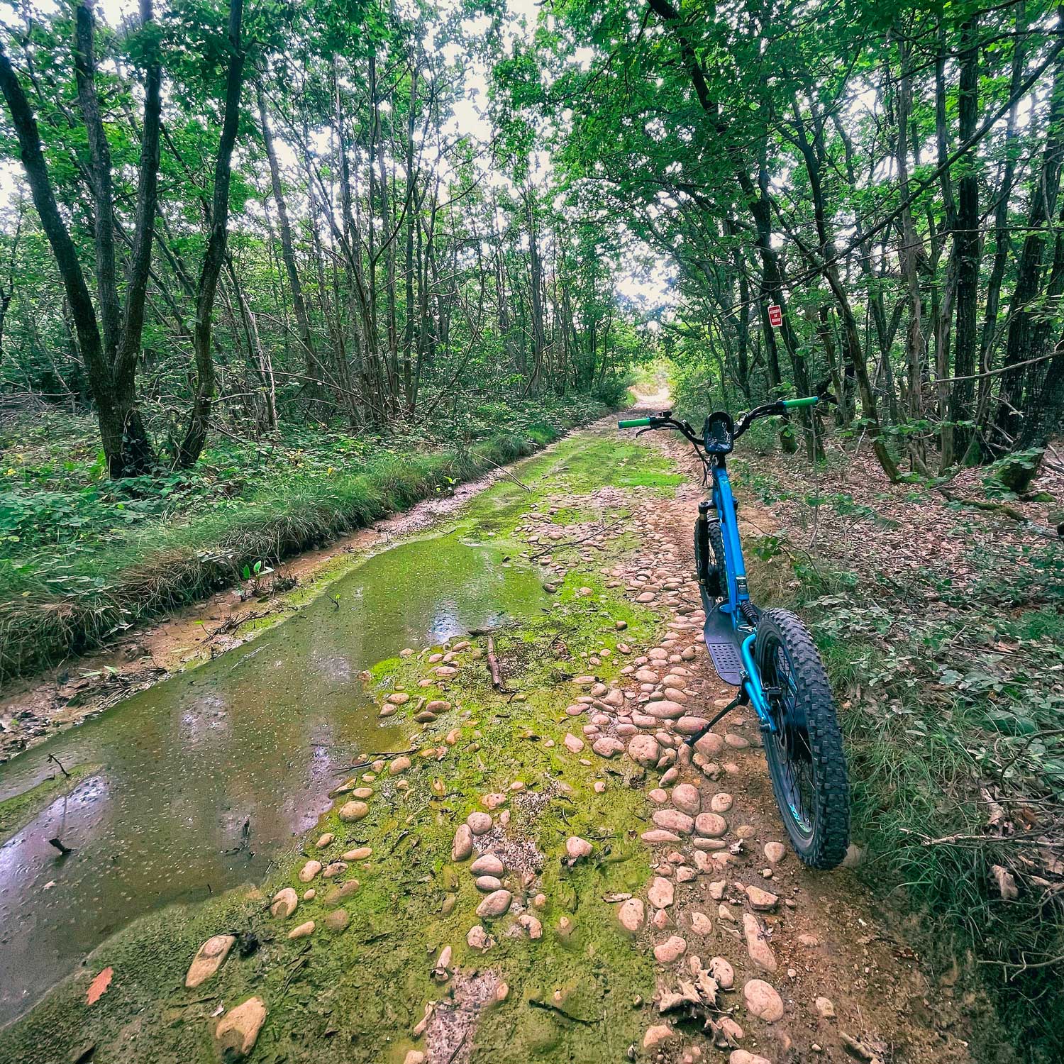 Sillonner la Drôme des Collines en trottinette électrique, c'est possible !