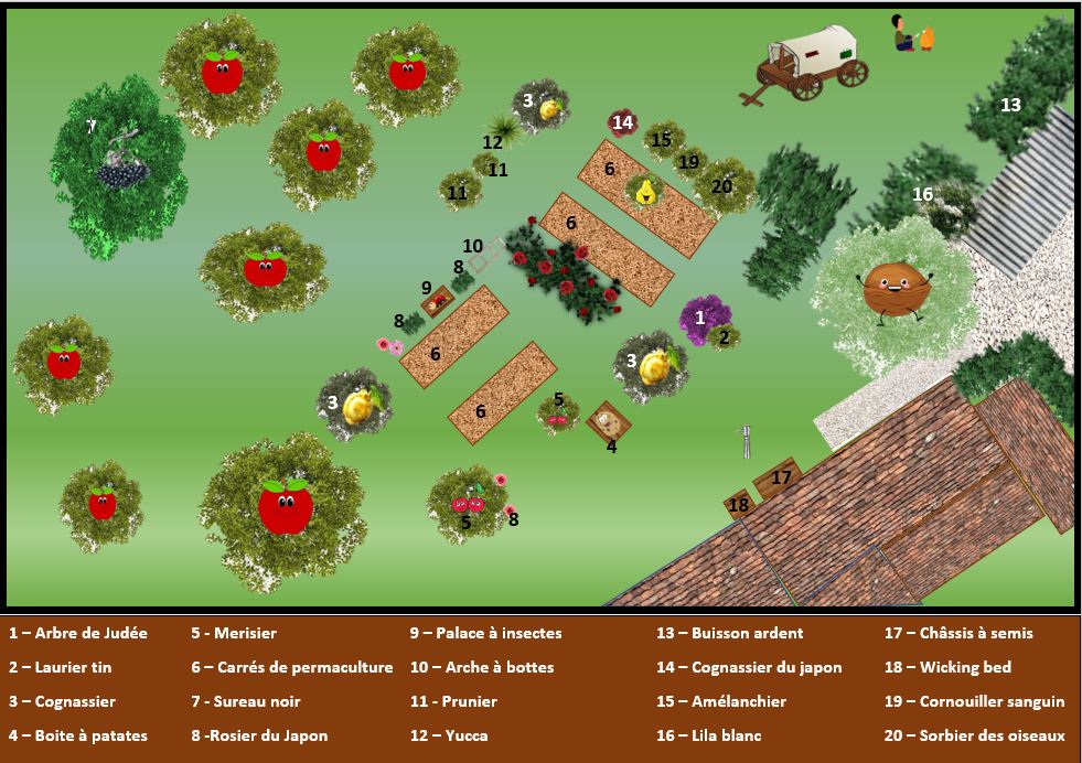 Plan jardin
