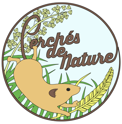 Logo perches de nature 211018-VDEF