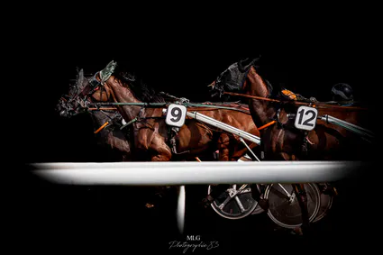 Photographe equestre 83 var mlg photographie 83