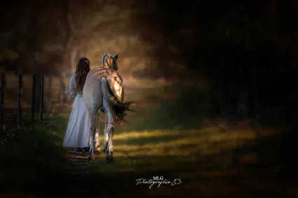 Photographe equestre 83 mlg photographie 83