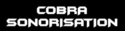 Cobra Sonorisation leader de la location de sonorisation, de jeux de lumiere, video et effets speciaux en Auvergne (63). Loueur de matériel de soirée et prestataire événementiel.