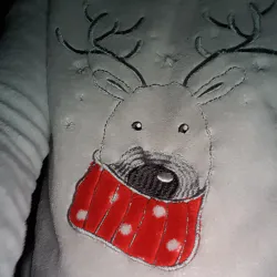 jour 3 décembre 2021