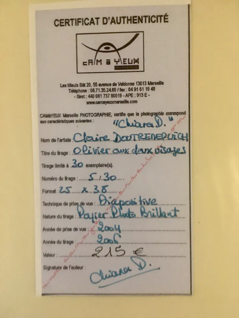 Certificat olivier