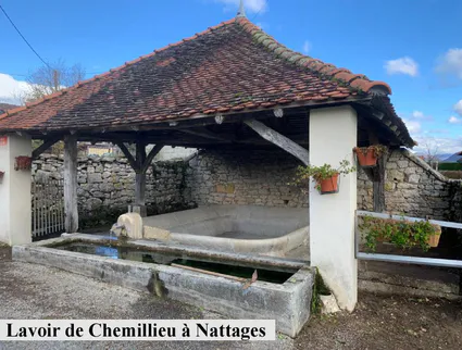 2 img 20201120 wa0001 chemillieu