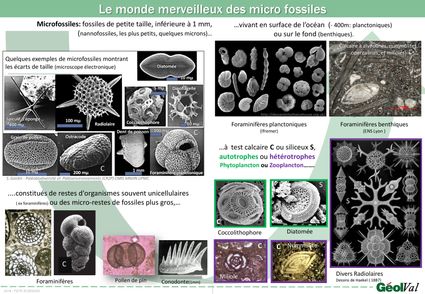2016 fs5 microfossiles site-page-001