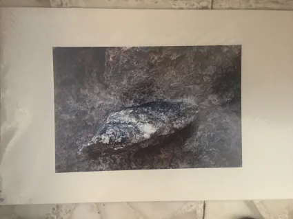 Serpent