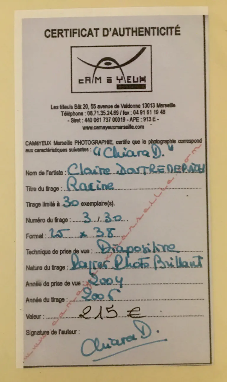 Certificat racine