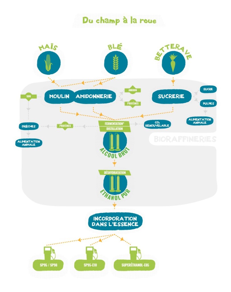Schema-production