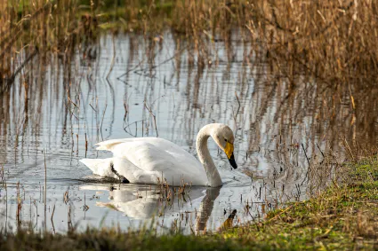 2021 12 31 11h18mn ggt 7575 dxo