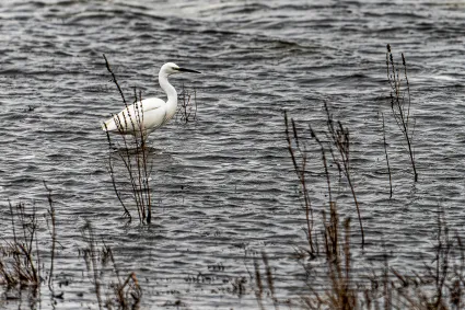 2021 12 31 12h27mn ggt 7628 dxo