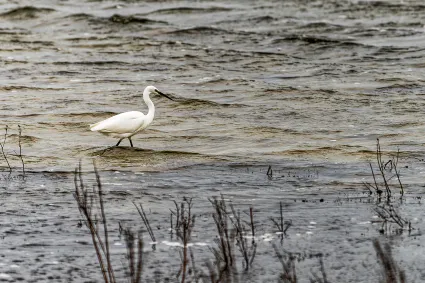 2021 12 31 12h27mn ggt 7634 dxo