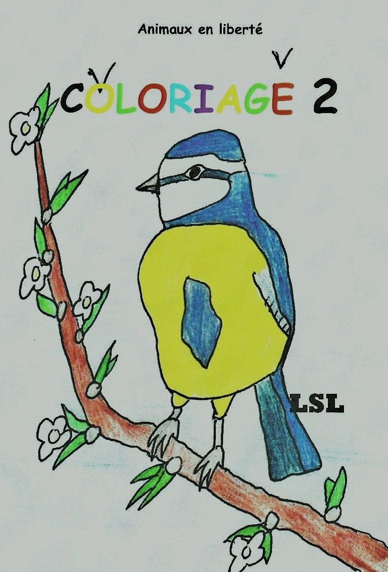 Coloriage 2 recto
