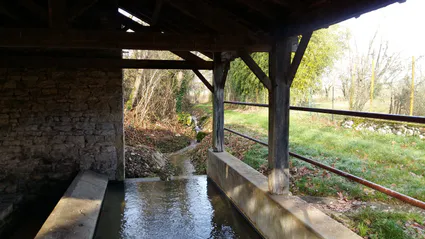 139349830 1869425263234326 4585794331073571163 n