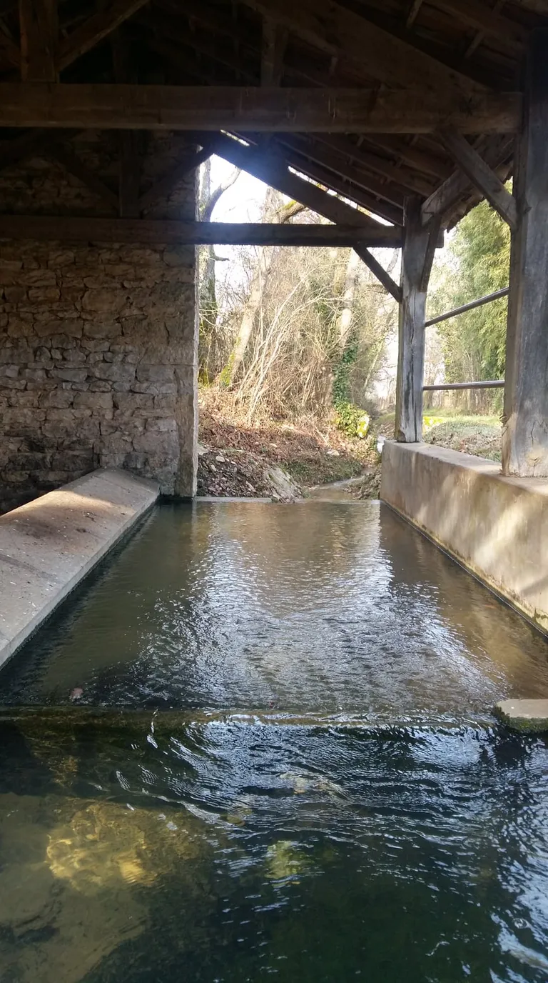 139699543 1869425079901011 7574021733299119761 n