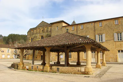 152491215 1896393090537543 1328426808247516897 n