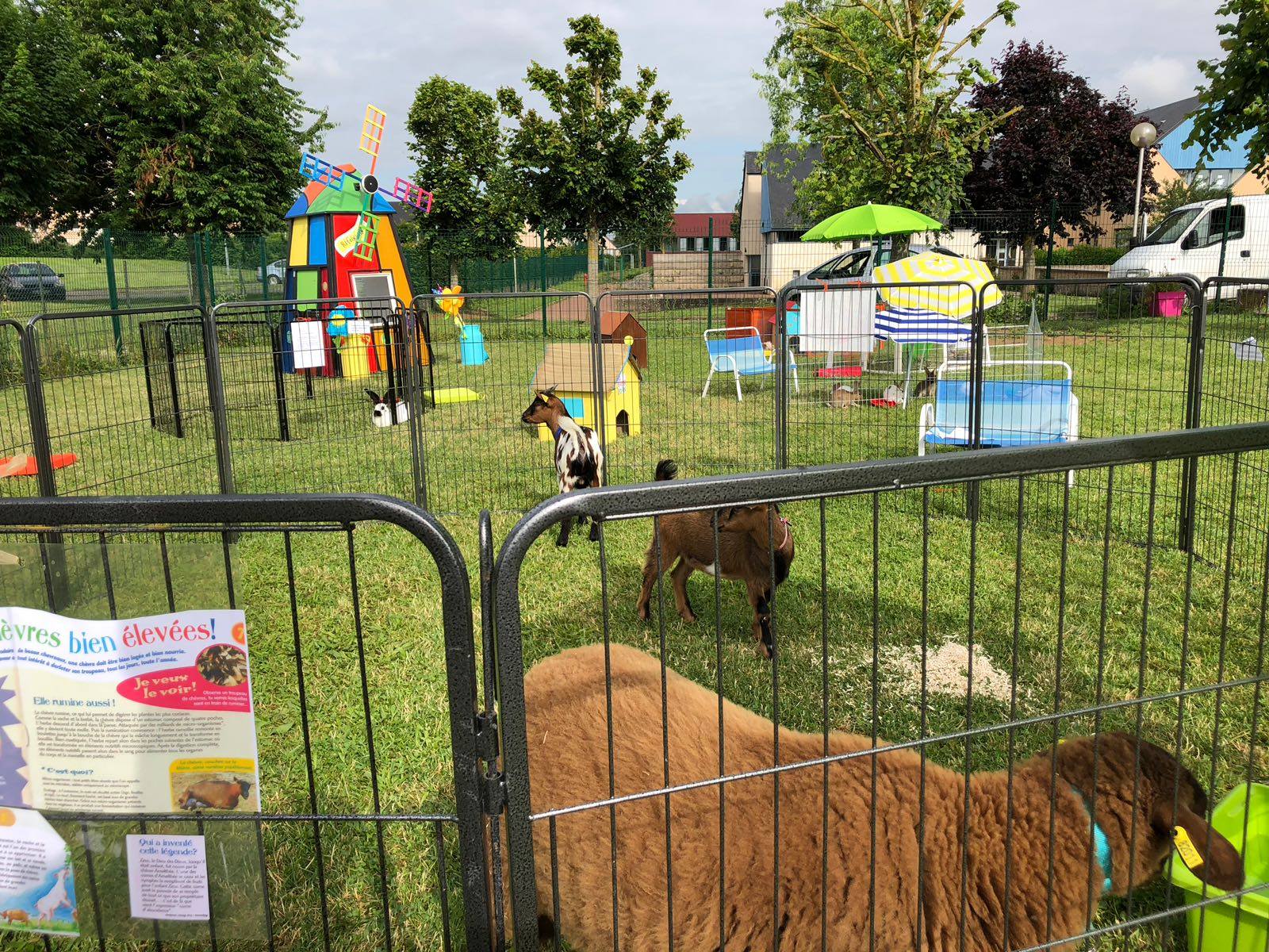 Mini-ferme