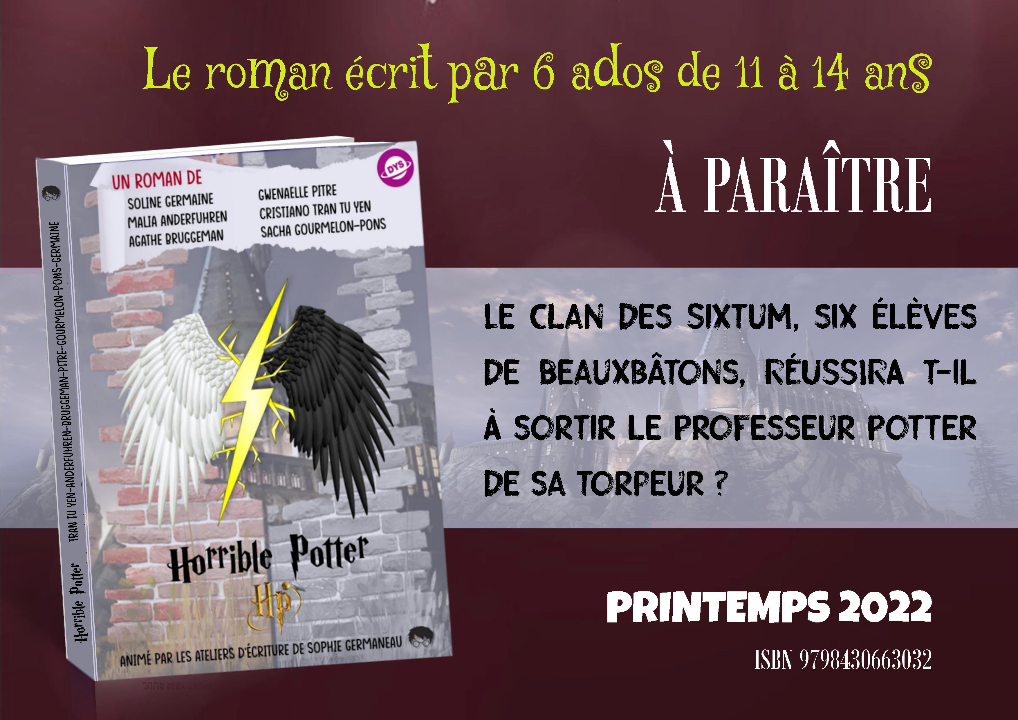 Visuel-de-lancement-Horrible-Potter