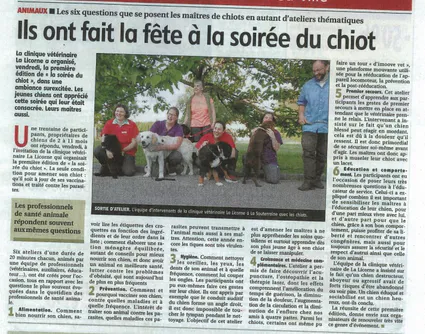 Article soiree du chiot