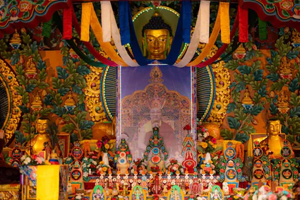 274531573 497721818541481 1997782371191965913 n 1