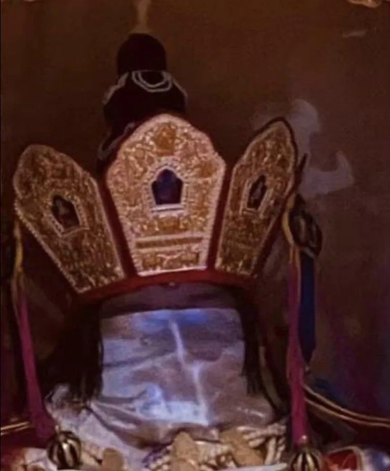 274282503 687690449329256 651988861506838228 n