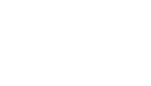 Logo-pierrafeu-Blanc