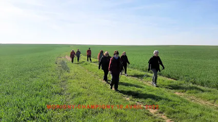 Morigny champigny 10 04 2022 c